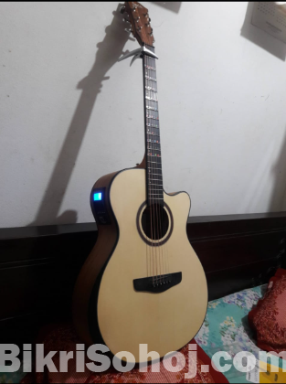 Deviser Acoustic Guitar with Capo + Ibanez Cover Free